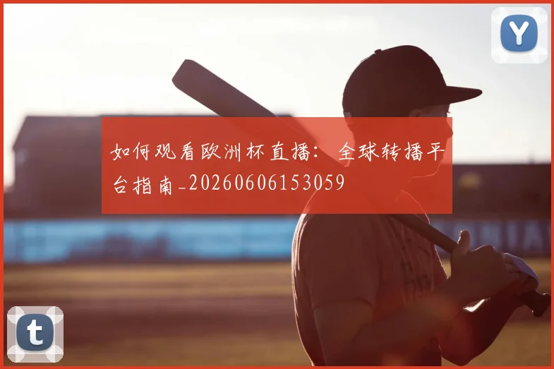 篮球明星退役后的转型与发展