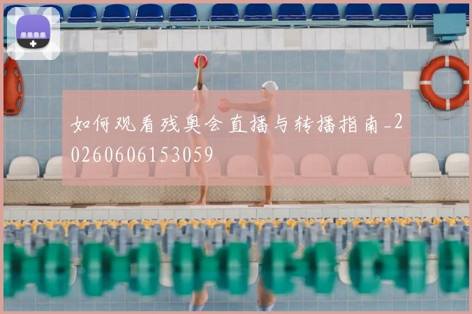 篮球明星退役后的转型之路