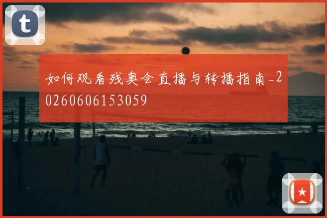 篮球明星退役后的转型之路